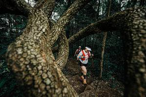 BIB: 
                            <button type="button" onclick="openModal(25700258)" class="btn btn-primary btn-sm float-right btn-popup" data-toggle="modal" data-target=".modal-high-quality">
                        <i class="fas fa-shopping-cart"></i> Add to Cart
                    </button>
                                            <button type="button" onclick="isThisMe(25700258, true)" class="btn btn-success btn-sm float-right btn-popup btn-isme hidden" data-toggle="tooltip" data-placement="bottom" title="นี่คือรูปของคุณใช่ไหม คลิกที่นี่เพื่อเอาเข้าอัลบั้ม">
                        <i class="fas fa-plus"></i> Add to album
                    </button>
                    <button type="button" onclick="isThisMe(25700258, false)" class="btn btn-warning btn-sm float-right btn-popup btn-isnotme hidden">
                        <i class="fas fa-ban"></i> Remove from album
                    </button>